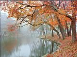 Autumn Canvas Paintings - Mike Jones Autumn Reflections